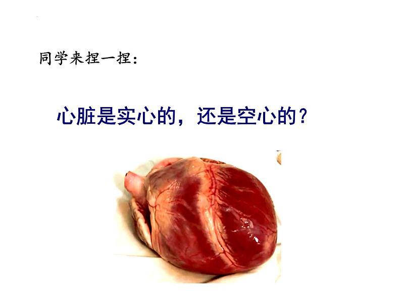 3-3-2物质运输的器官(动力器官—心脏)课件2021-2022学年济南版生物七年级下册第6页