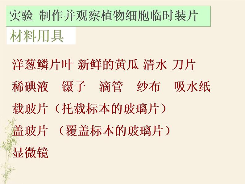 2.1.2植物细胞课件PPT第8页