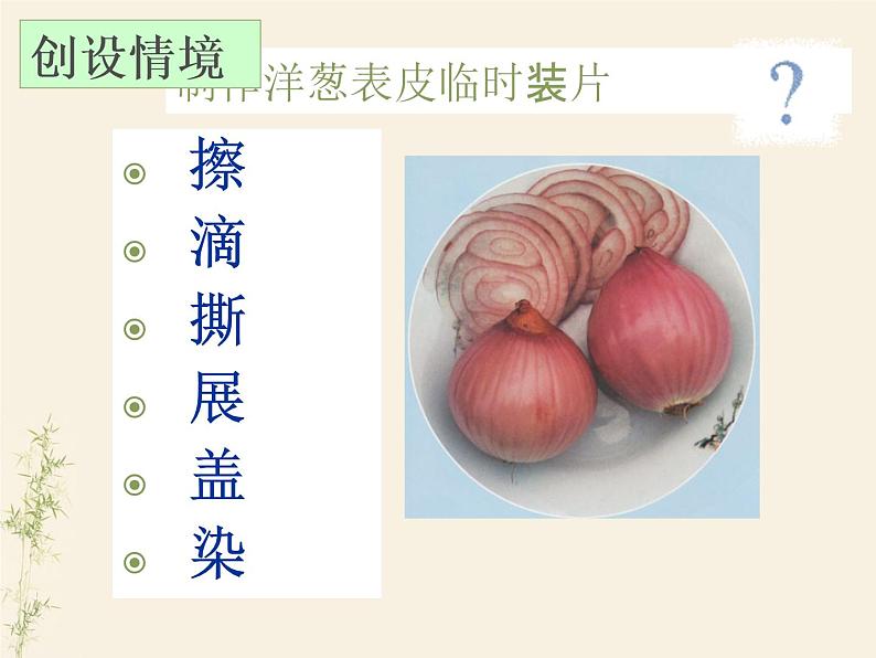 2.1.3动物细胞课件PPT第2页