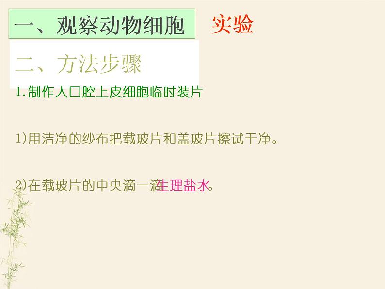 2.1.3动物细胞课件PPT第7页