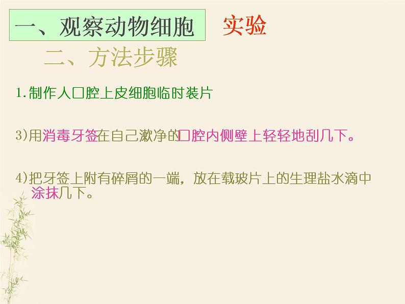 2.1.3动物细胞课件PPT第8页