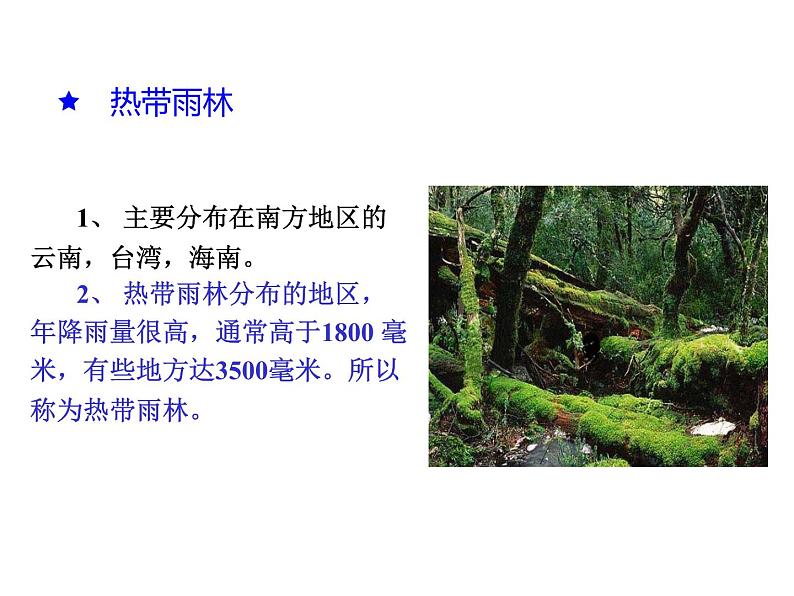 3.6爱护植被,绿化祖国课件PPT第4页