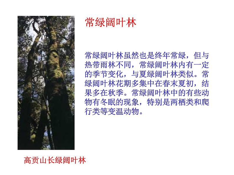 3.6爱护植被,绿化祖国课件PPT第6页