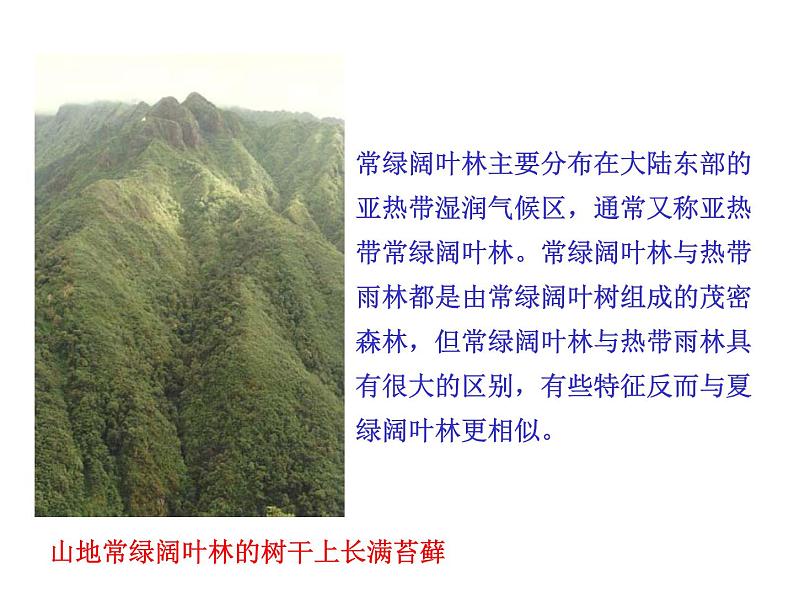 3.6爱护植被,绿化祖国课件PPT第7页
