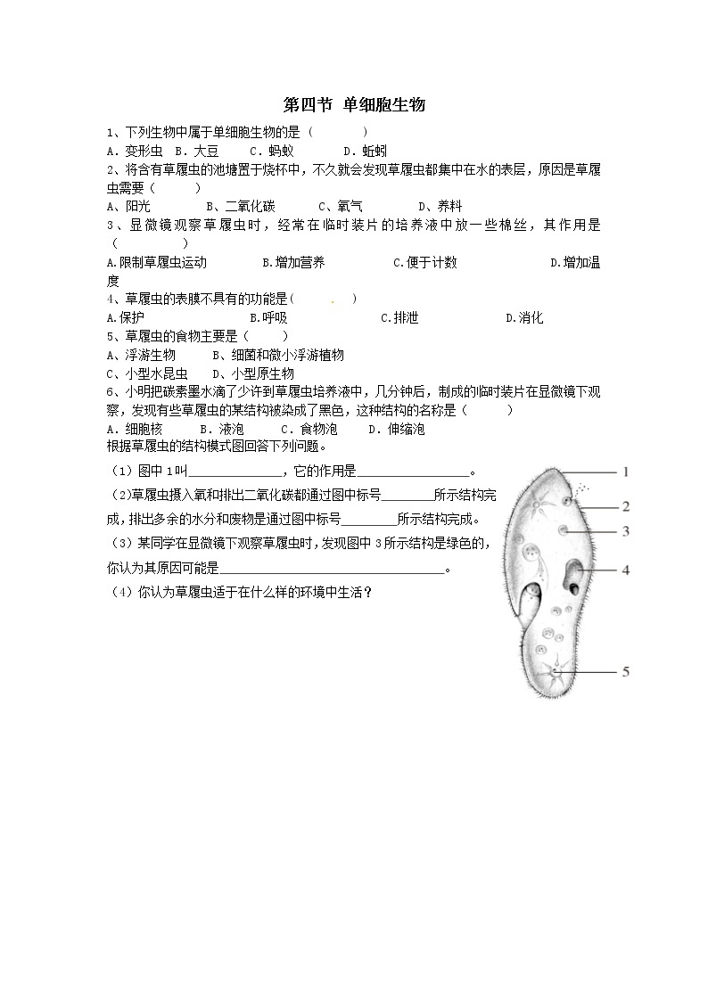 2.2.4单细胞生物练习题01