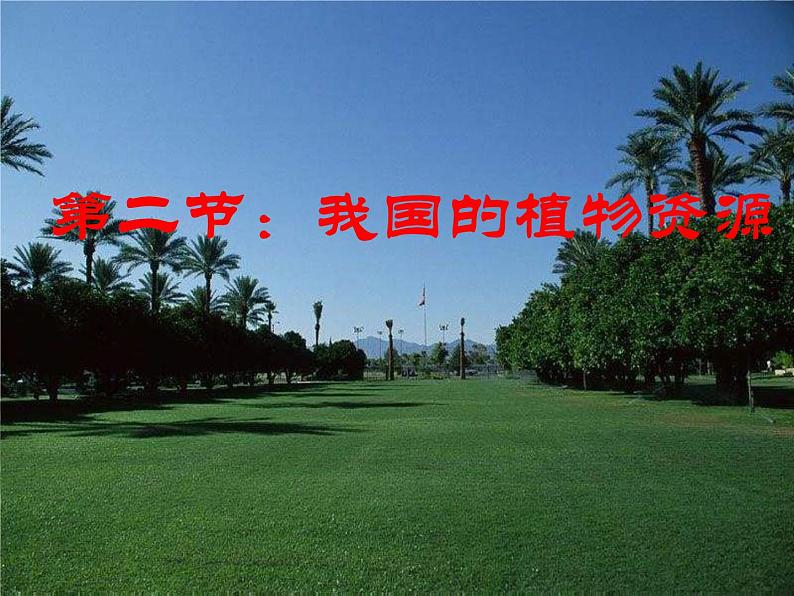第2节 我国的植物资源课件PPT第1页