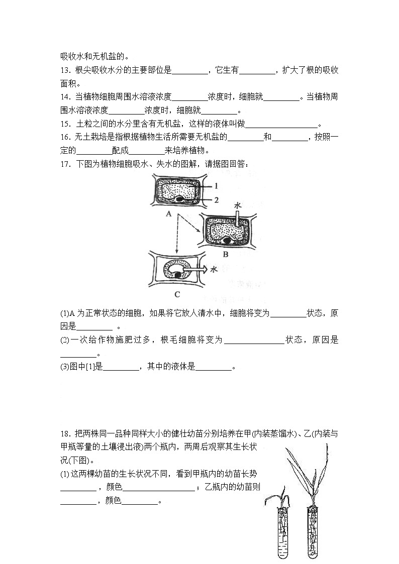 生物:第5章第3节++吸收作用++同步练习第2页