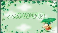 2022年中考北师大版生物复习课件-------第四单元《人体的呼吸》