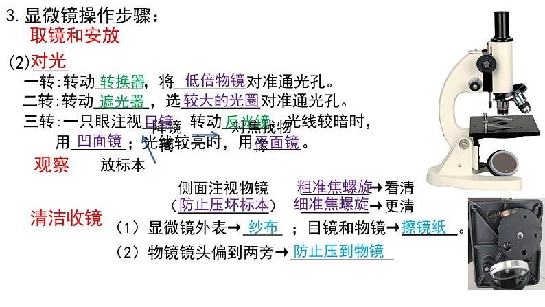 2022年中考生物一轮复习课件:专题02细胞是生命活动的基本单位第5页