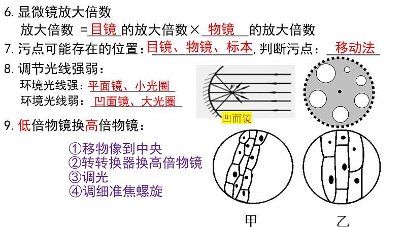 2022年中考生物一轮复习课件:专题02细胞是生命活动的基本单位第7页
