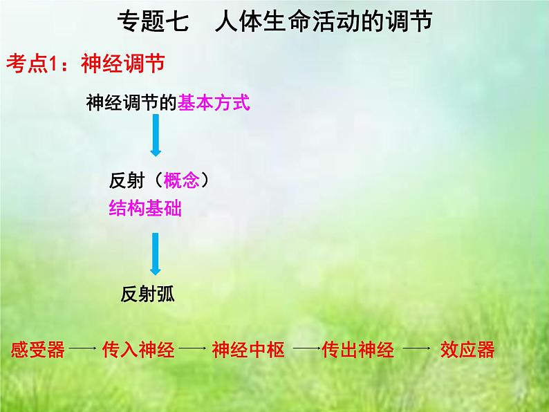 2022年中考复习:专题七《人体生命活动的调节》课件第1页
