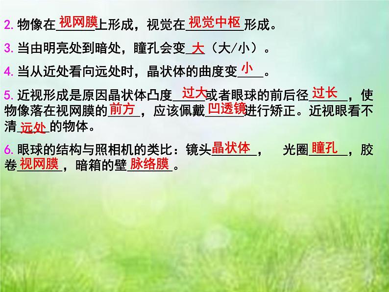 2022年中考复习:专题七《人体生命活动的调节》课件第7页