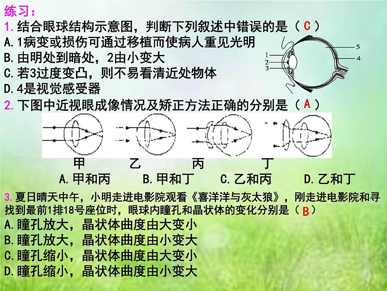 2022年中考复习:专题七《人体生命活动的调节》课件第8页