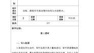 人教版 (新课标)七年级下册第二节 血流的管道──血管第一课时教学设计