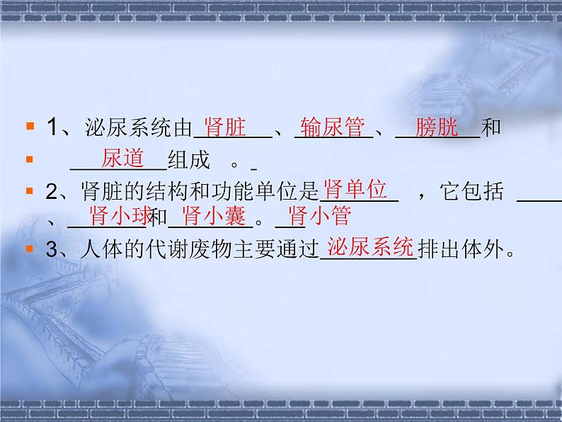 北师大版七下生物 11.2尿的形成与排出 课件第3页