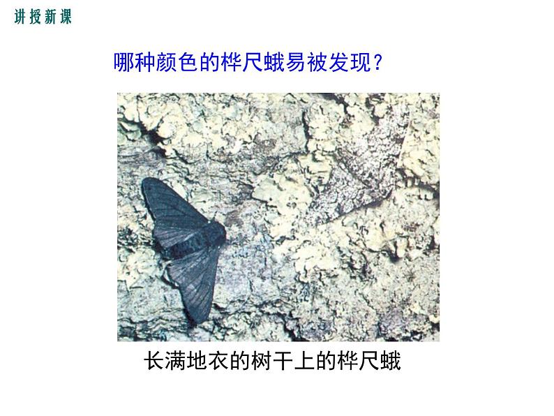 济南社八年级下册生物 5.1.4生物进化的原因 课件05