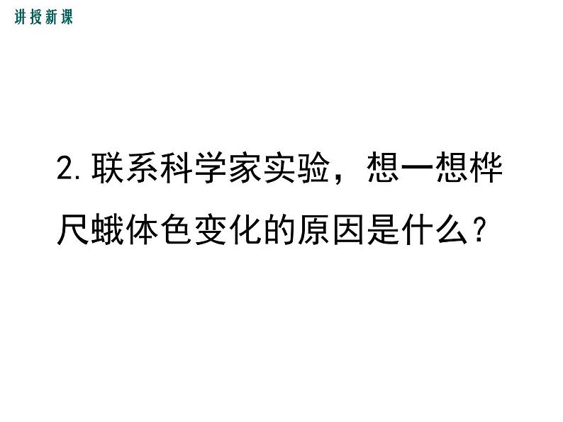 济南社八年级下册生物 5.1.4生物进化的原因 课件07