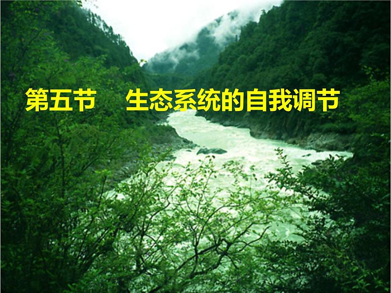济南社八年级下册生物 6.2.5生态系统的自我调节 课件第1页