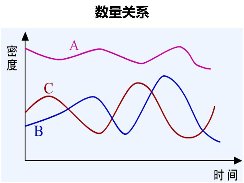 济南社八年级下册生物 6.2.5生态系统的自我调节 课件第5页