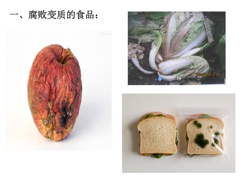 济南社八年级下册生物 7.1.2食品保存 课件05