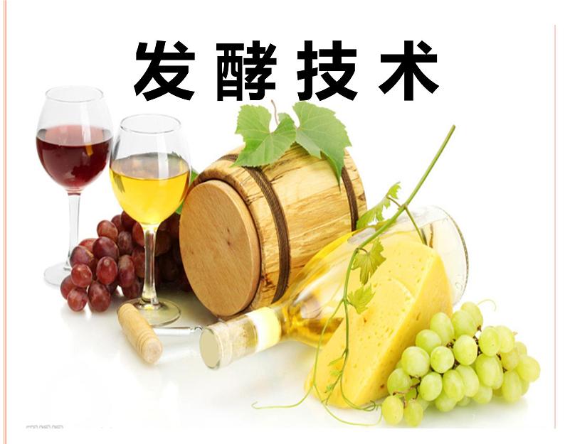 济南社八年级下册生物 7.1.1发酵技术 课件03