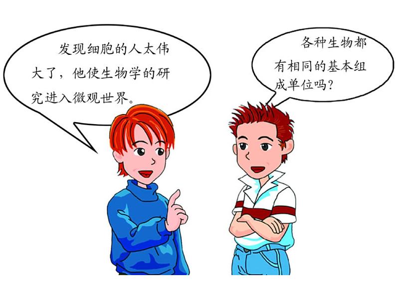 苏科版七年级下册生物 8.1生物体的基本结构 课件第4页