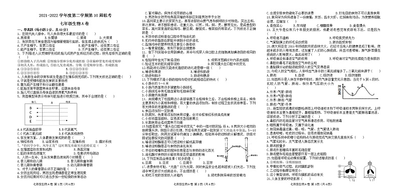 广东省茂名市高州校际联盟2021-2022学年七年级下学期期中生物试题(A卷)(word版含答案)第1页