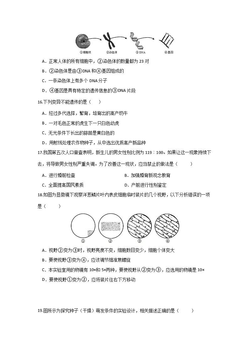 重庆市綦江区未来学校联盟2021-2022学年八年级下学期期中生物试题(word版含答案)第3页