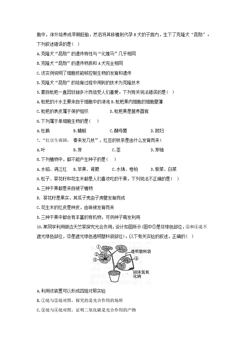 2022年云南省禄劝彝族苗族自治县初中学业水平模拟考试(一模)生物试题(含答案)第2页
