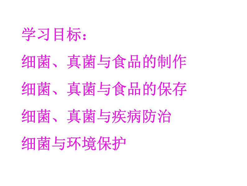 人类对细菌和真菌的利用课件PPT02