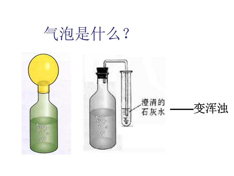 人类对细菌和真菌的利用课件PPT04
