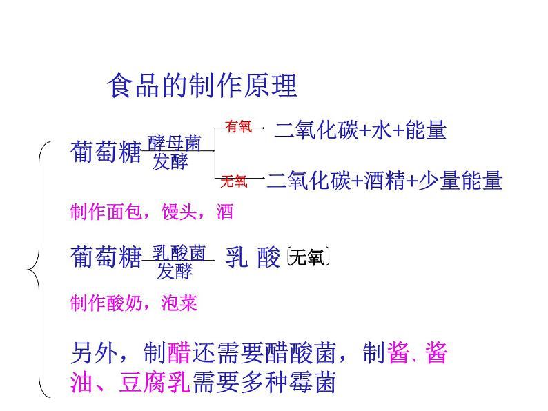 人类对细菌和真菌的利用课件PPT05