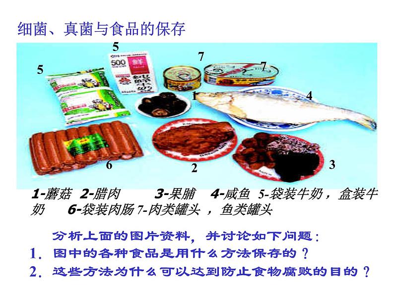 人类对细菌和真菌的利用课件PPT08