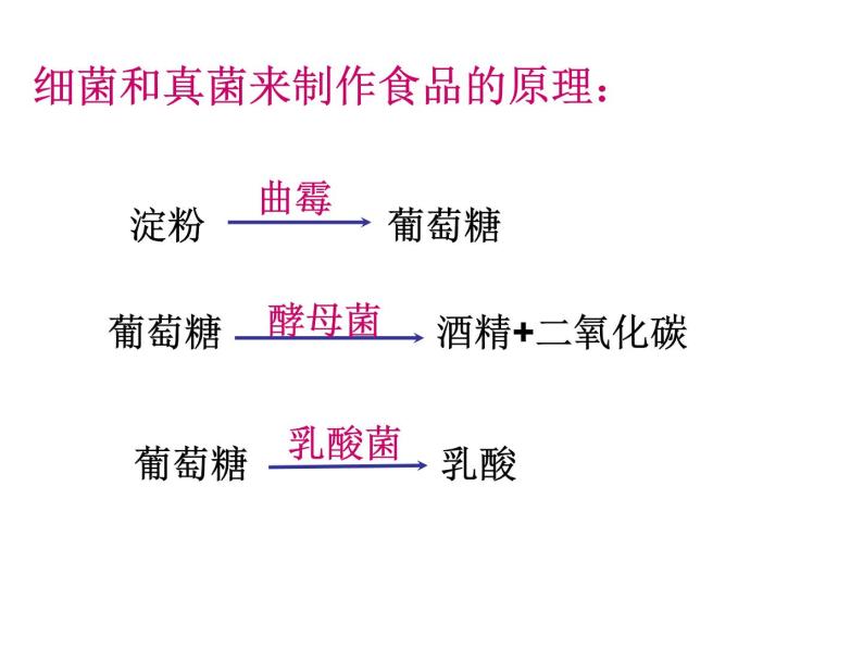 人类对细菌和真菌的利用课件PPT07