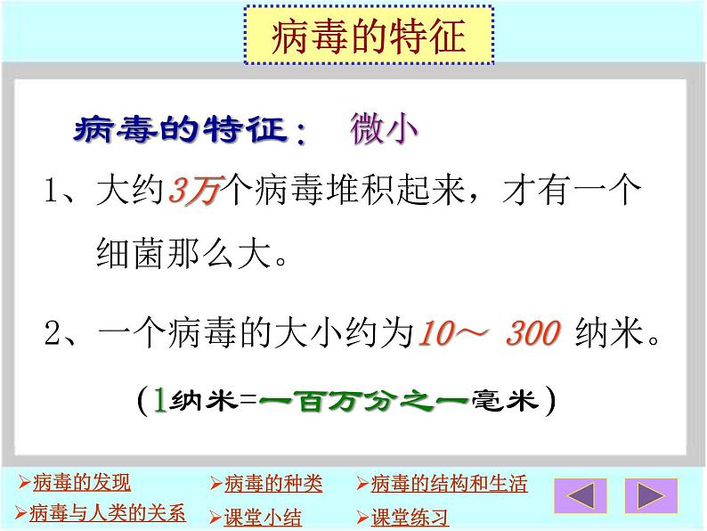 第二章病毒ppt第4页