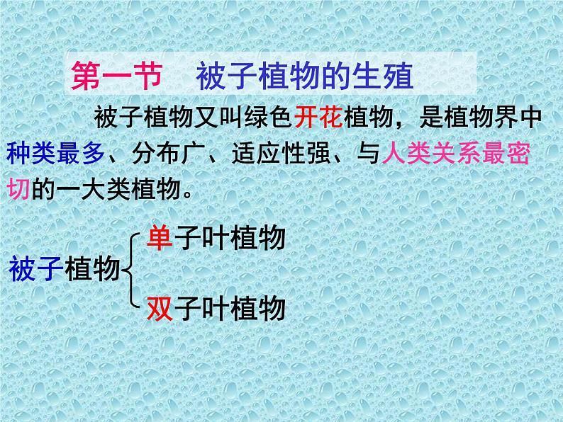 冀教版八年级下册生物 6.1.1被子植物的生殖 课件01