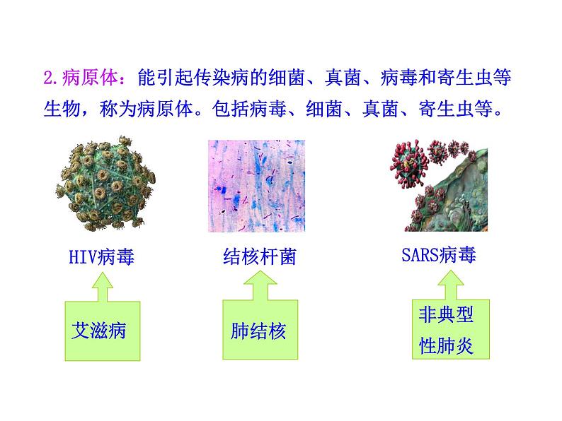 苏教版八年级下册生物 25.1传染病 课件04