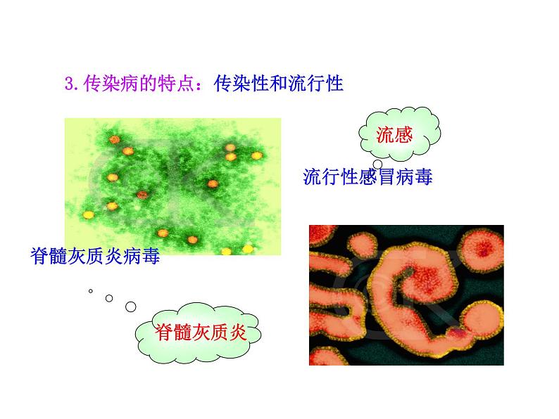 苏教版八年级下册生物 25.1传染病 课件07