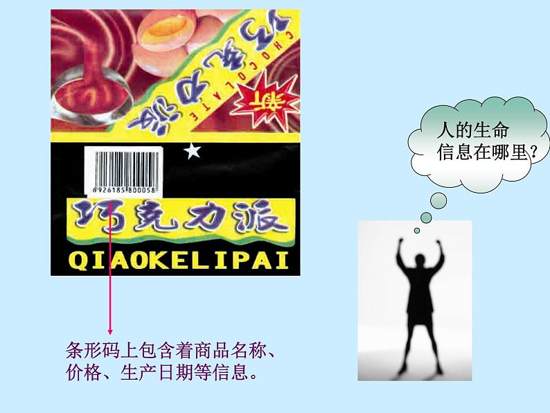 苏教版八年级下册生物 22.1DNA是主要的遗传物质 课件02
