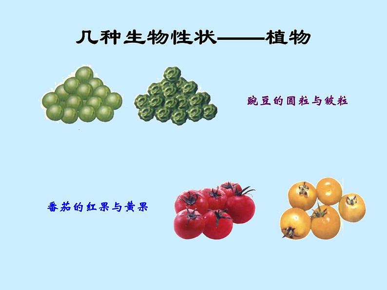 苏教版八年级下册生物 22.1DNA是主要的遗传物质 课件04