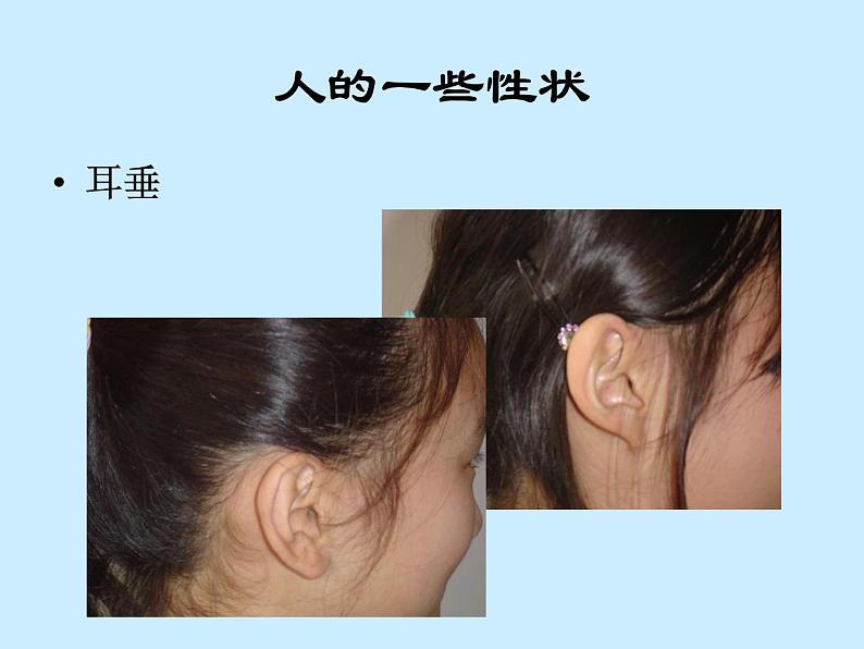 苏教版八年级下册生物 22.1DNA是主要的遗传物质 课件06