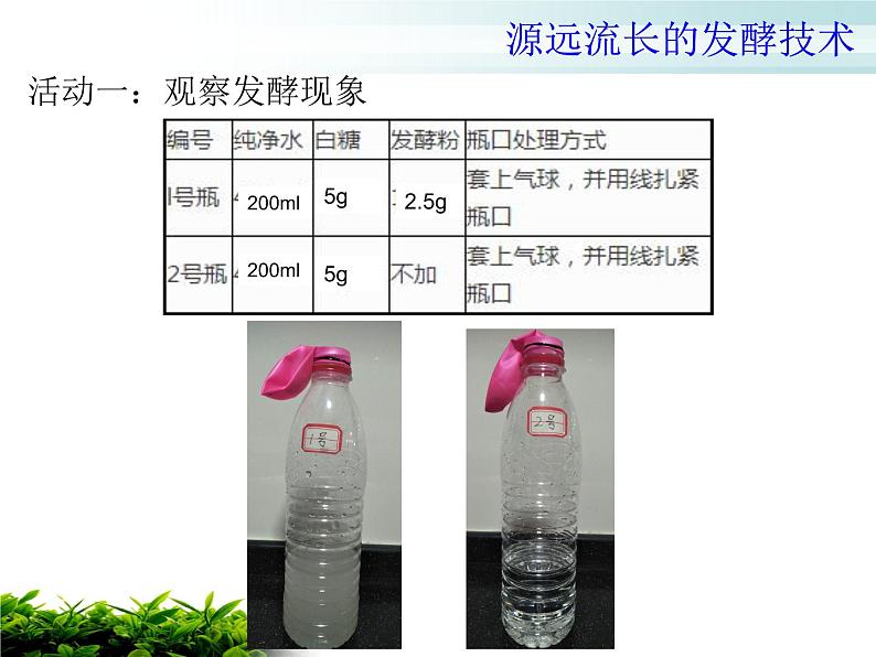 苏教版八年级下册生物 23.1源远流长的发酵技术 课件第3页