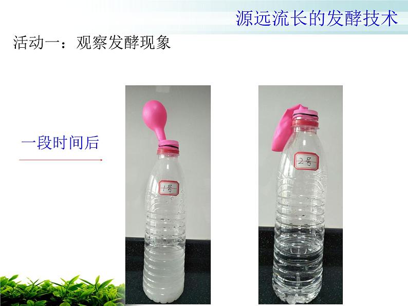 苏教版八年级下册生物 23.1源远流长的发酵技术 课件第4页