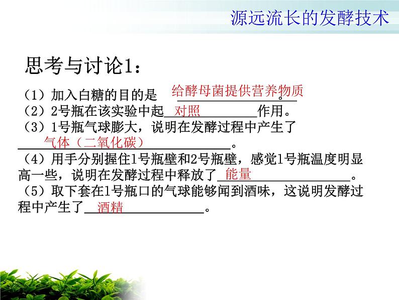 苏教版八年级下册生物 23.1源远流长的发酵技术 课件第5页