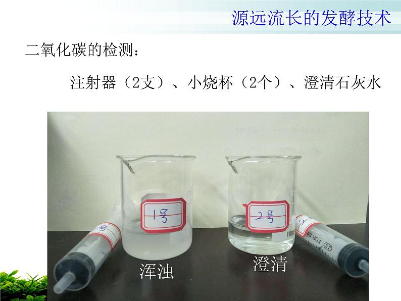 苏教版八年级下册生物 23.1源远流长的发酵技术 课件第6页