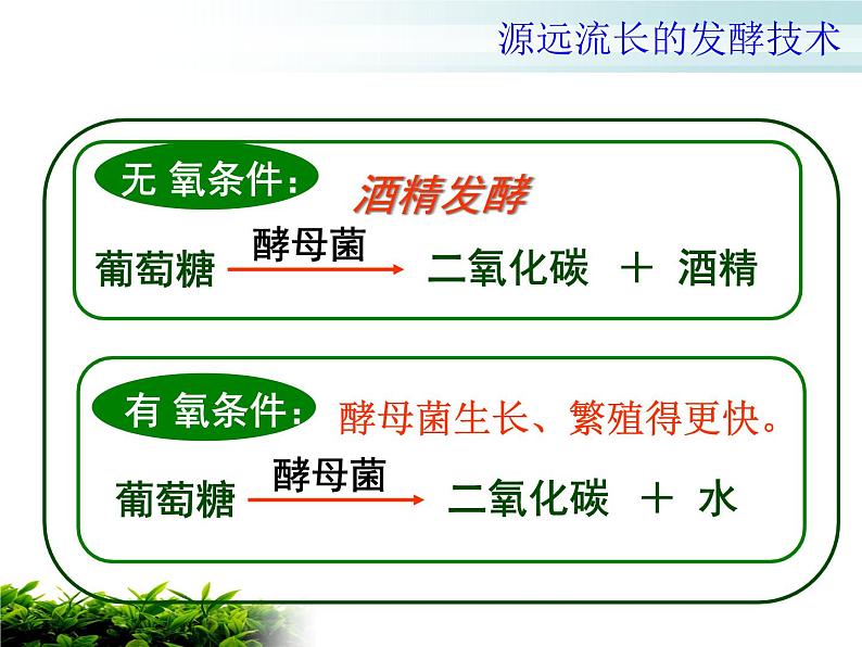 苏教版八年级下册生物 23.1源远流长的发酵技术 课件第8页
