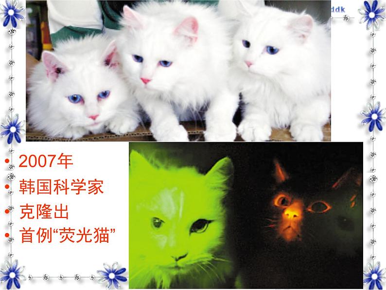 苏教版八年级下册生物 24.2关注生物技术 课件03