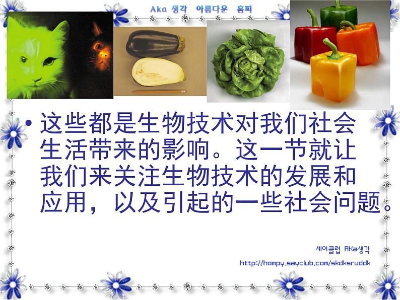 苏教版八年级下册生物 24.2关注生物技术 课件07