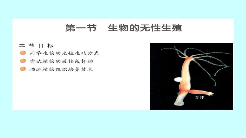 苏教版八年级下册生物 21.1生物的无性生殖 课件02