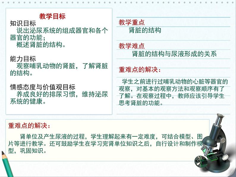 北师大版七下生物 11.2尿的形成与排出 课件第3页